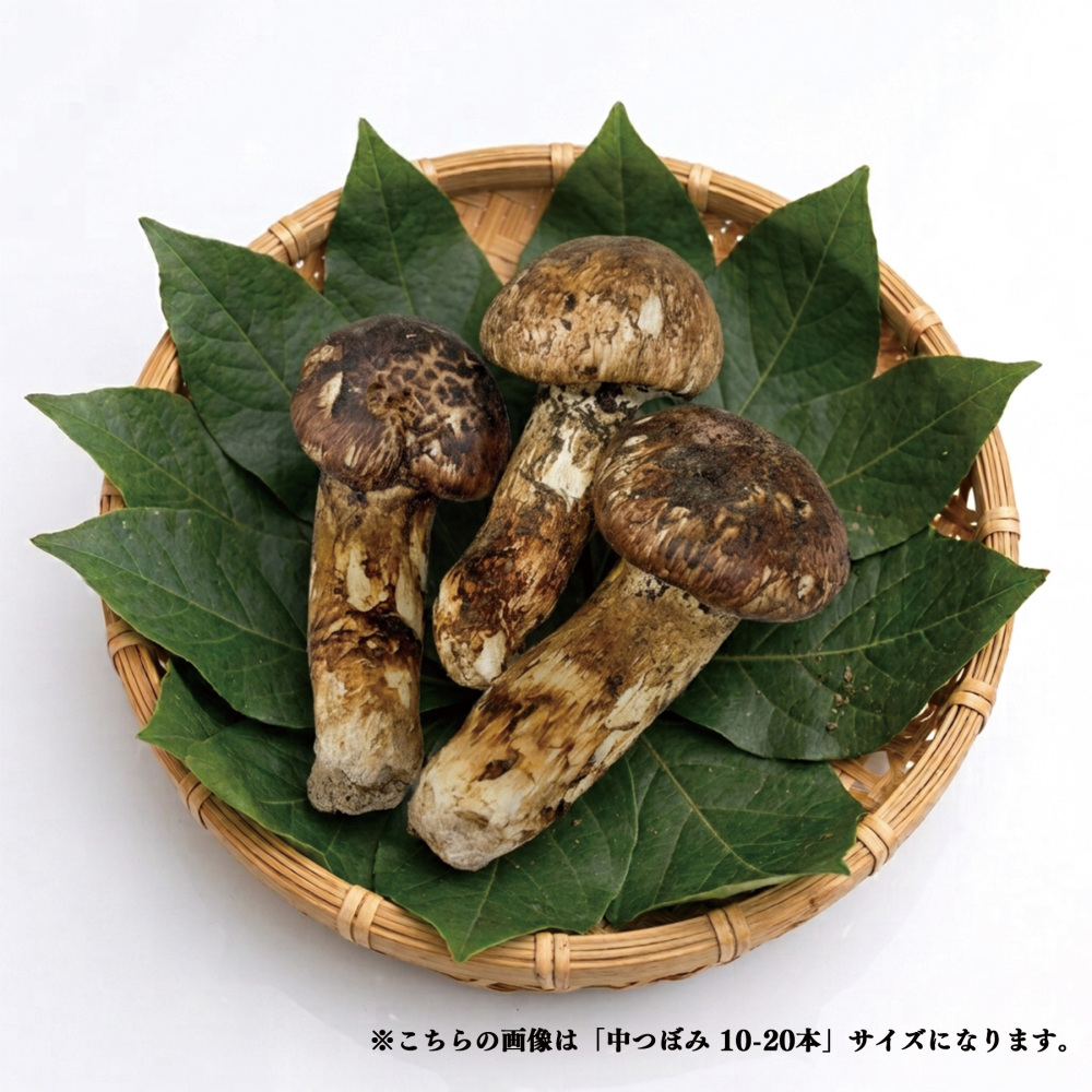 【冷蔵便】中国産まつたけ 1kg｜キノコ