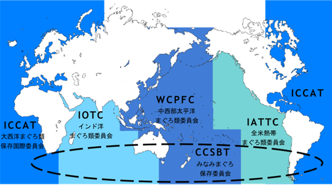 主要な5つの国際マグロ漁業管理機関（RFMO）