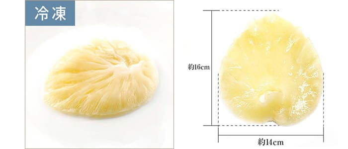 てまなし翼排翅